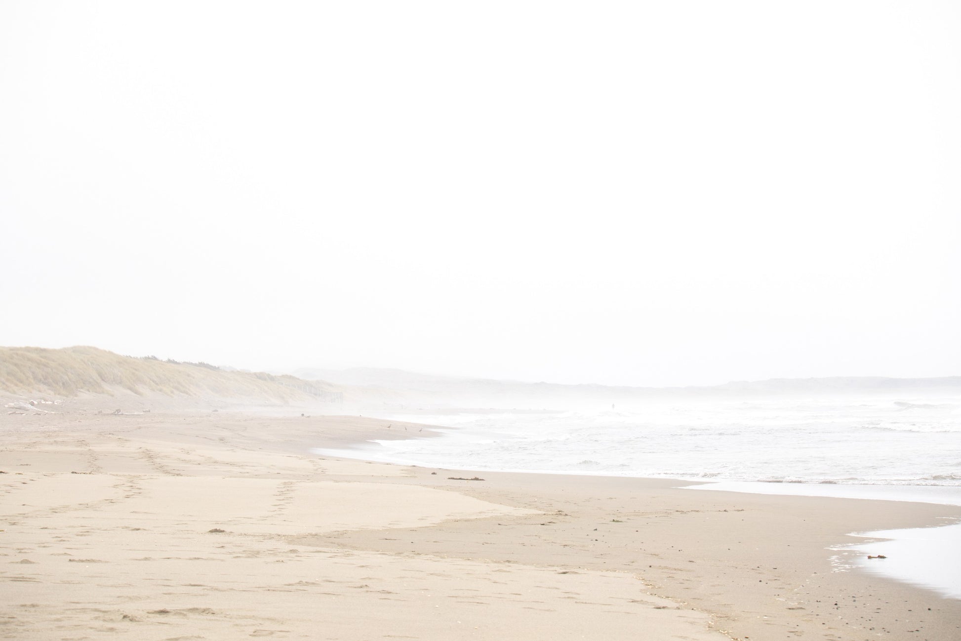 Photography by Salt Creek Prints of: Salmon Creek Beach 7569, The coastline of Salmon Creek Beach, Bodega Bay.