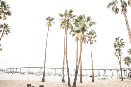 Photography by Kim Dybczak of: The bridge near Coronado arches over the shoreline with ocean stretching beyond.