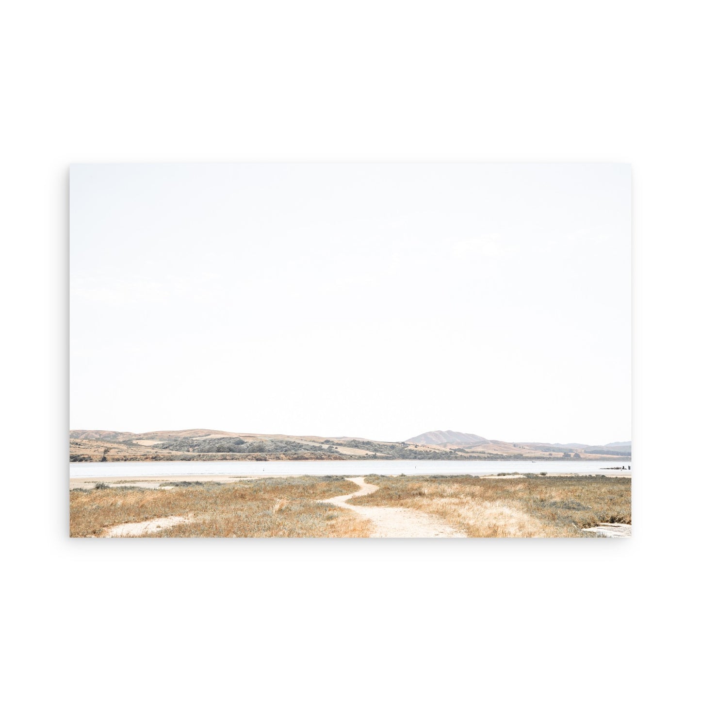 Tomales Bay 7147
