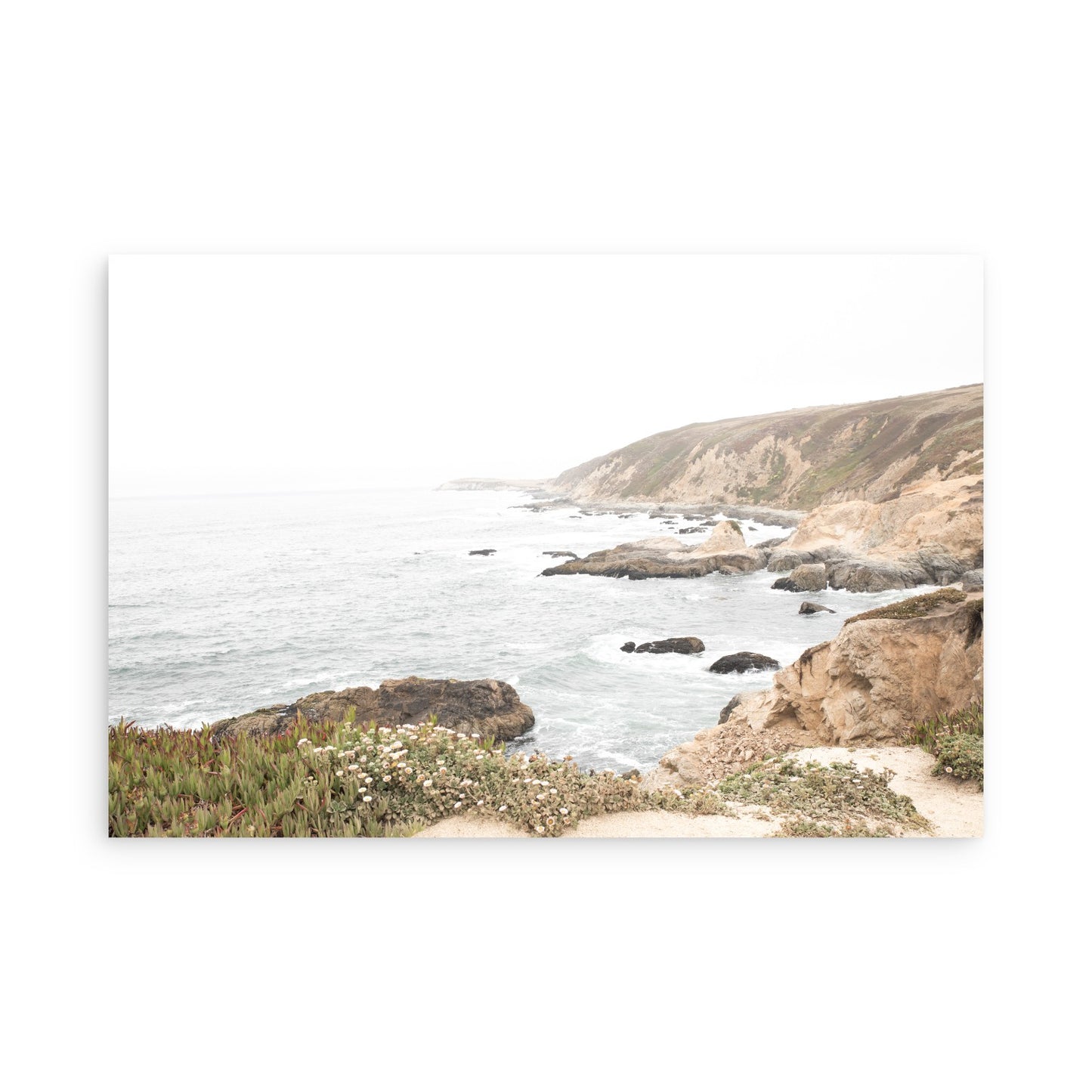 Bodega Head 7728