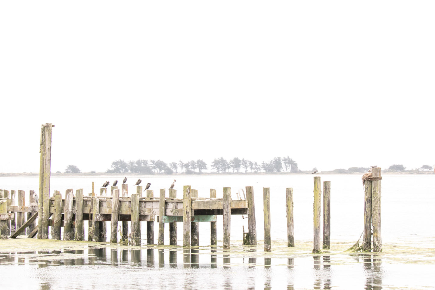 Photography by Salt Creek Prints of: Bodega Bay Pier 7637, The pier in the calm waters at Bodega Bay, Northern California.