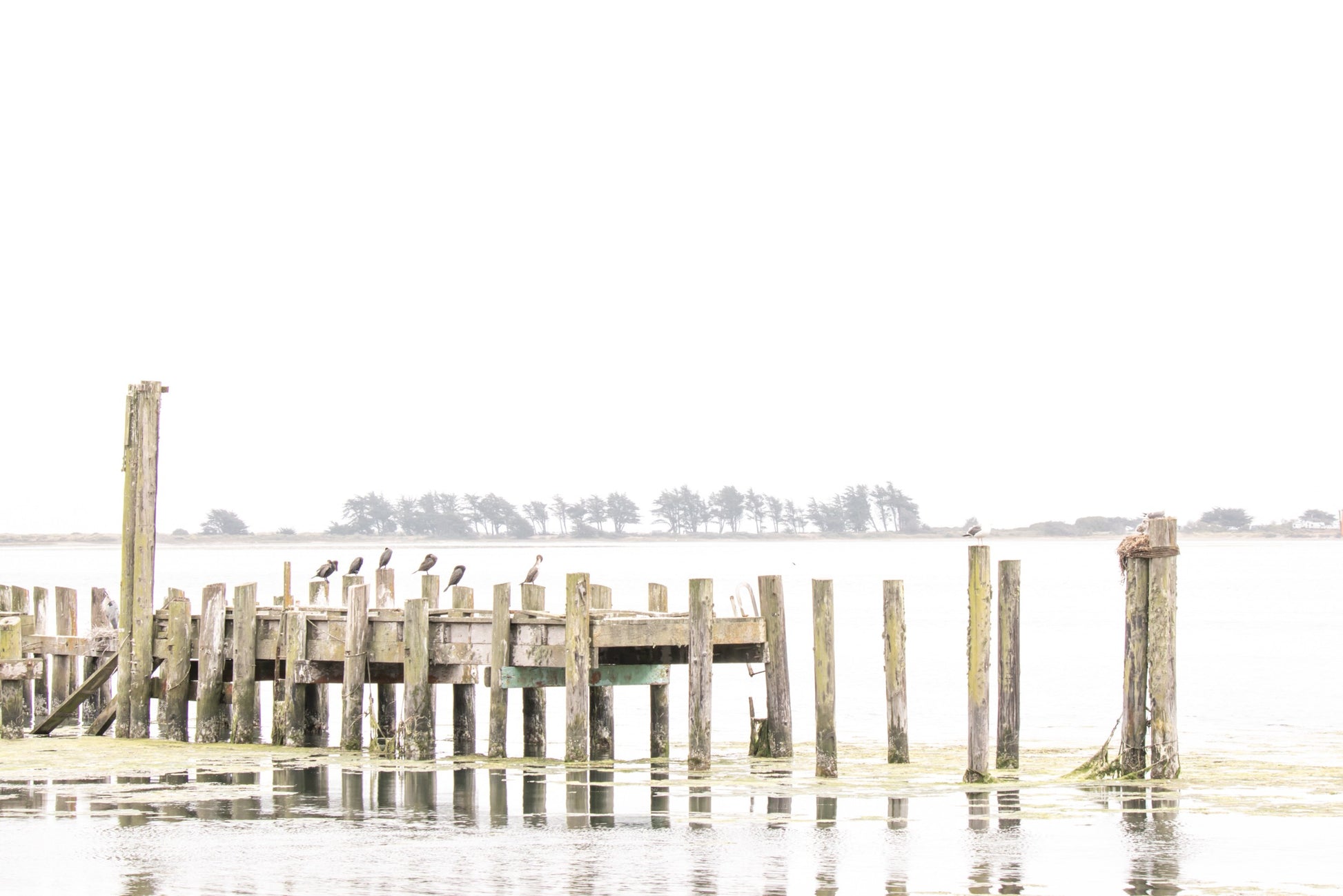 Photography by Salt Creek Prints of: Bodega Bay Pier 7637, The pier in the calm waters at Bodega Bay, Northern California.