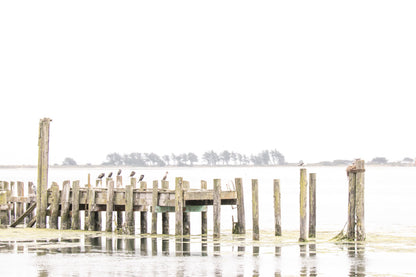 Photography by Salt Creek Prints of: Bodega Bay Pier 7637, The pier in the calm waters at Bodega Bay, Northern California.