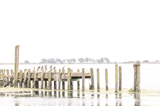 Photography by Salt Creek Prints of: Bodega Bay Pier 7637, The pier in the calm waters at Bodega Bay, Northern California.