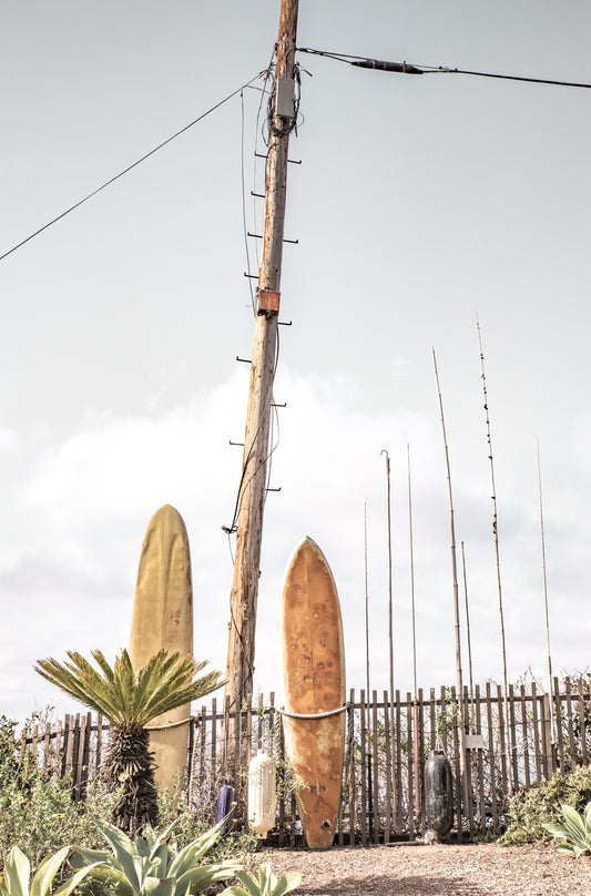 Photography by Kim Dybczak of: Old Surfboards 6377