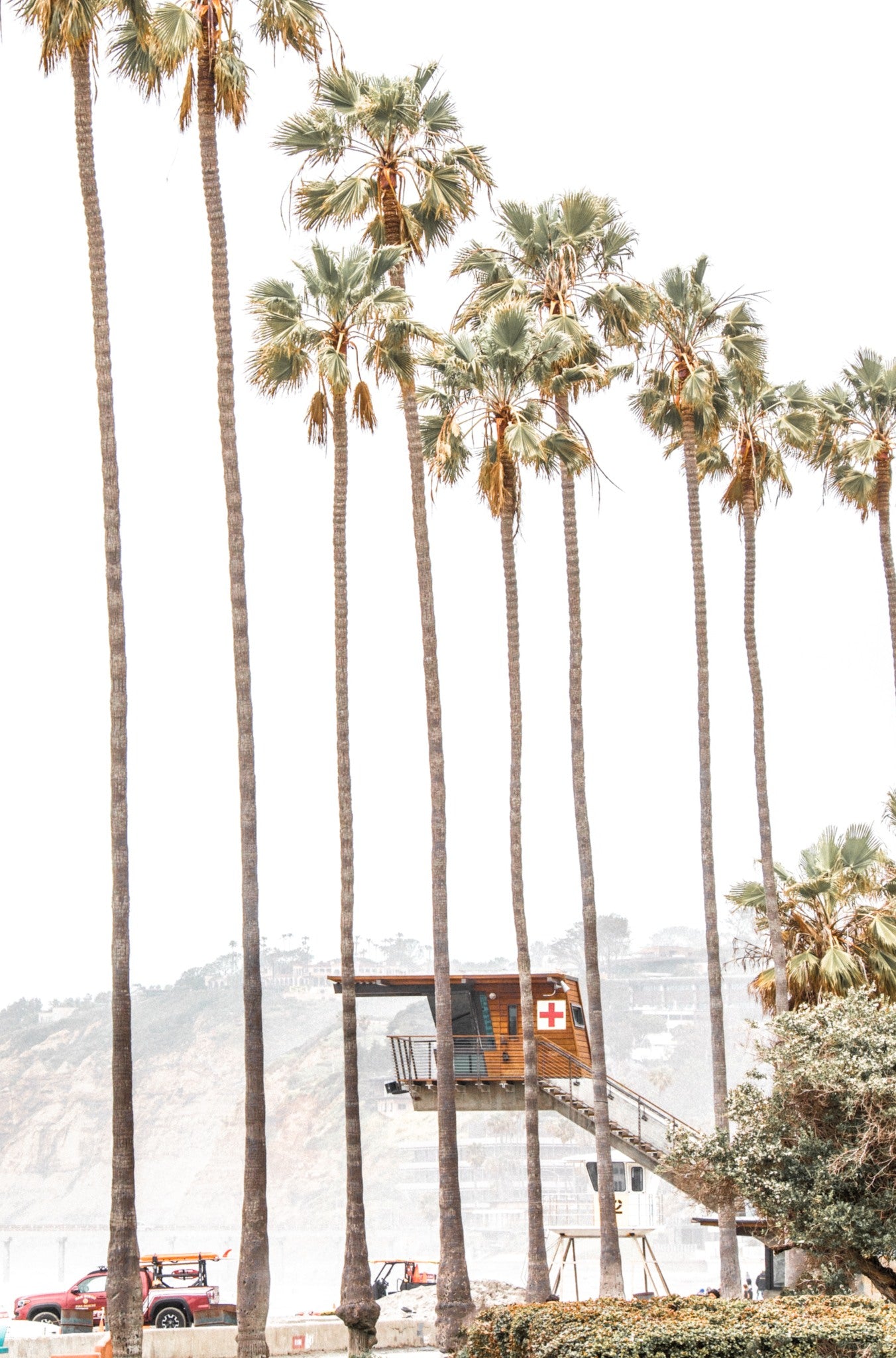 Photography by Kim Dybczak of: La Jolla Shores 7939