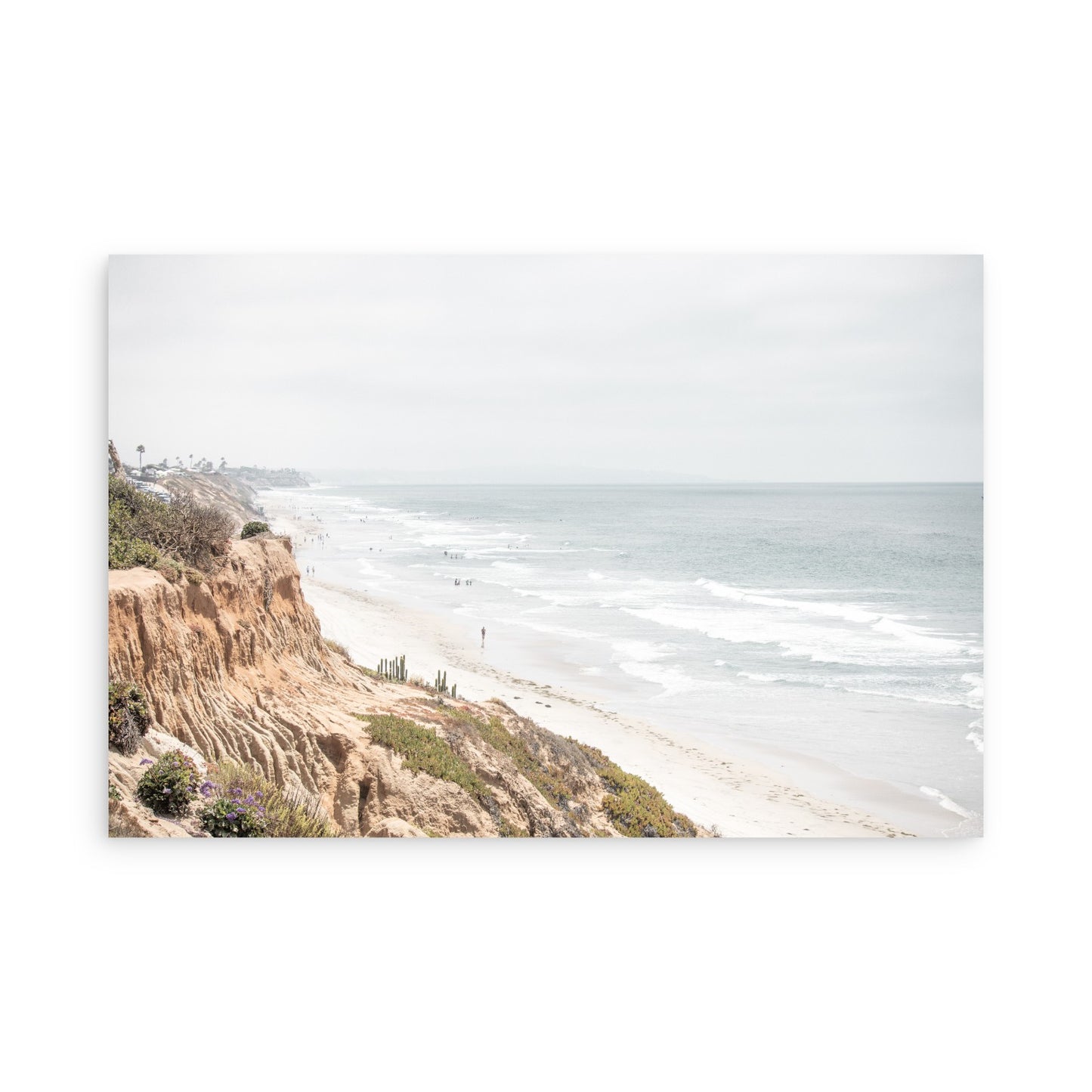 Carlsbad 2309