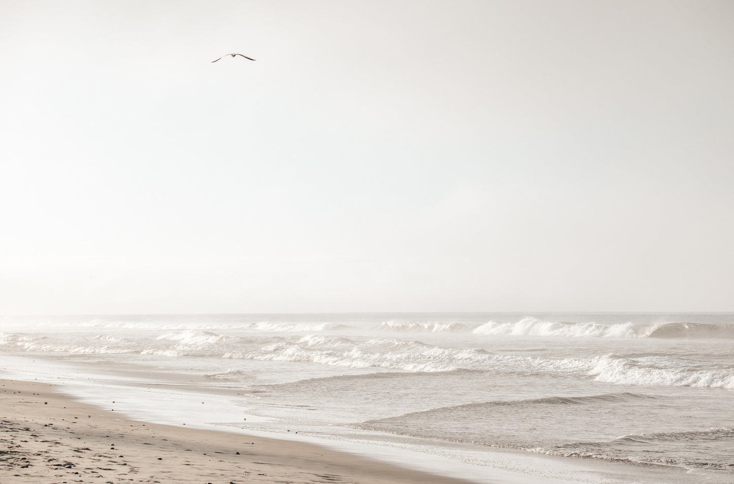 Photography by Kim Dybczak of: The coast shoreline stretches wide, with gentle waves smoothing the sand.