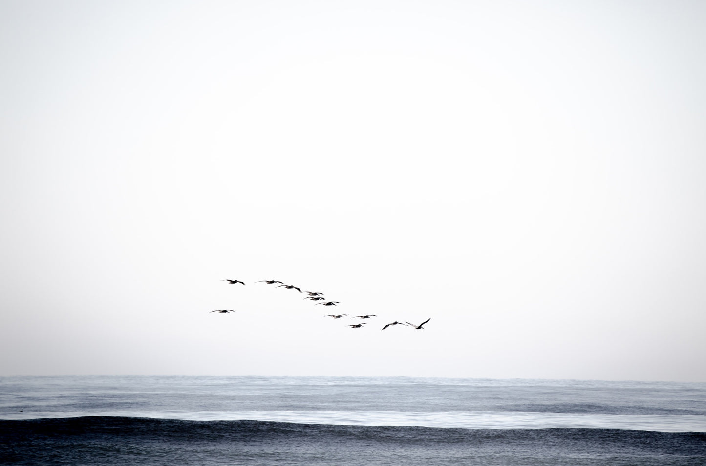 Photography by Kim Dybczak of: Cardiff 4678