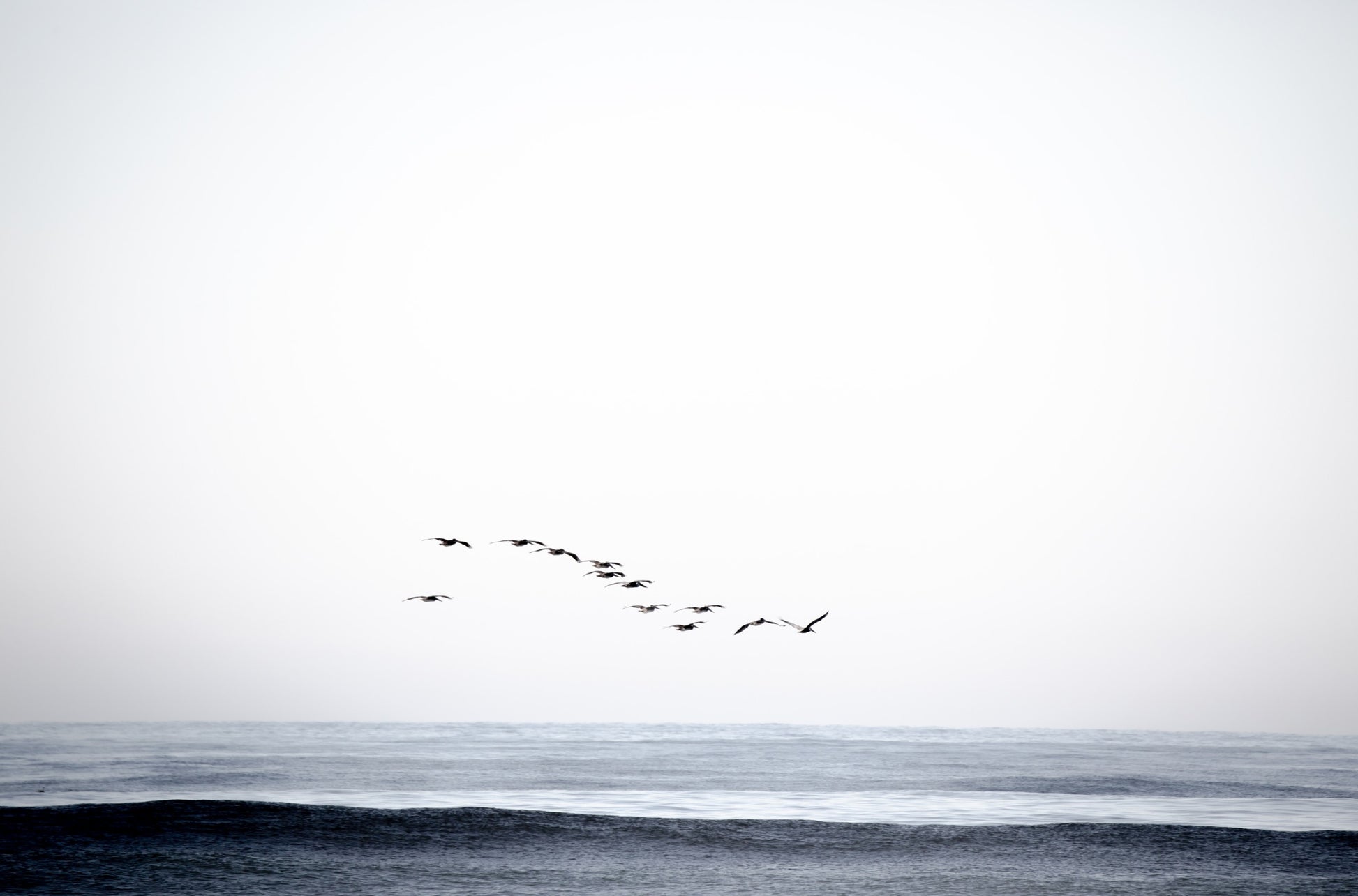 Photography by Kim Dybczak of: Cardiff 4678