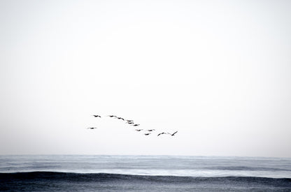 Photography by Kim Dybczak of: Cardiff 4678