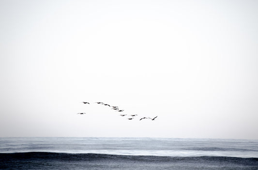 Photography by Kim Dybczak of: Cardiff 4678