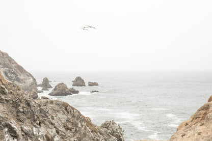 Photography by Salt Creek Prints of: Bodega Head 7714, Rugged serene coastline of Bodega Head, Bodega Bay, California