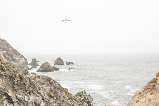 Photography by Salt Creek Prints of: Bodega Head 7714, Rugged serene coastline of Bodega Head, Bodega Bay, California