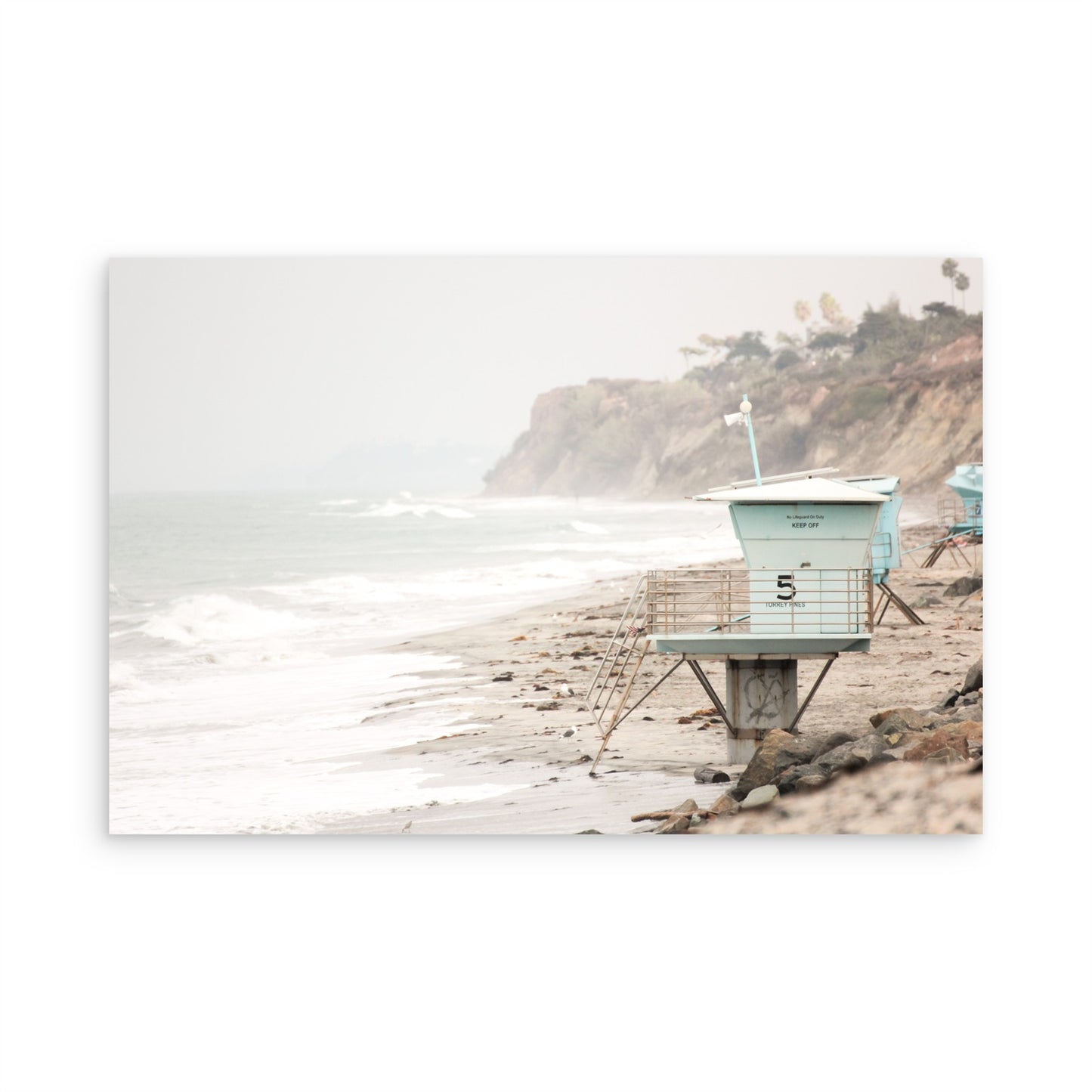 Torrey Pines 3132