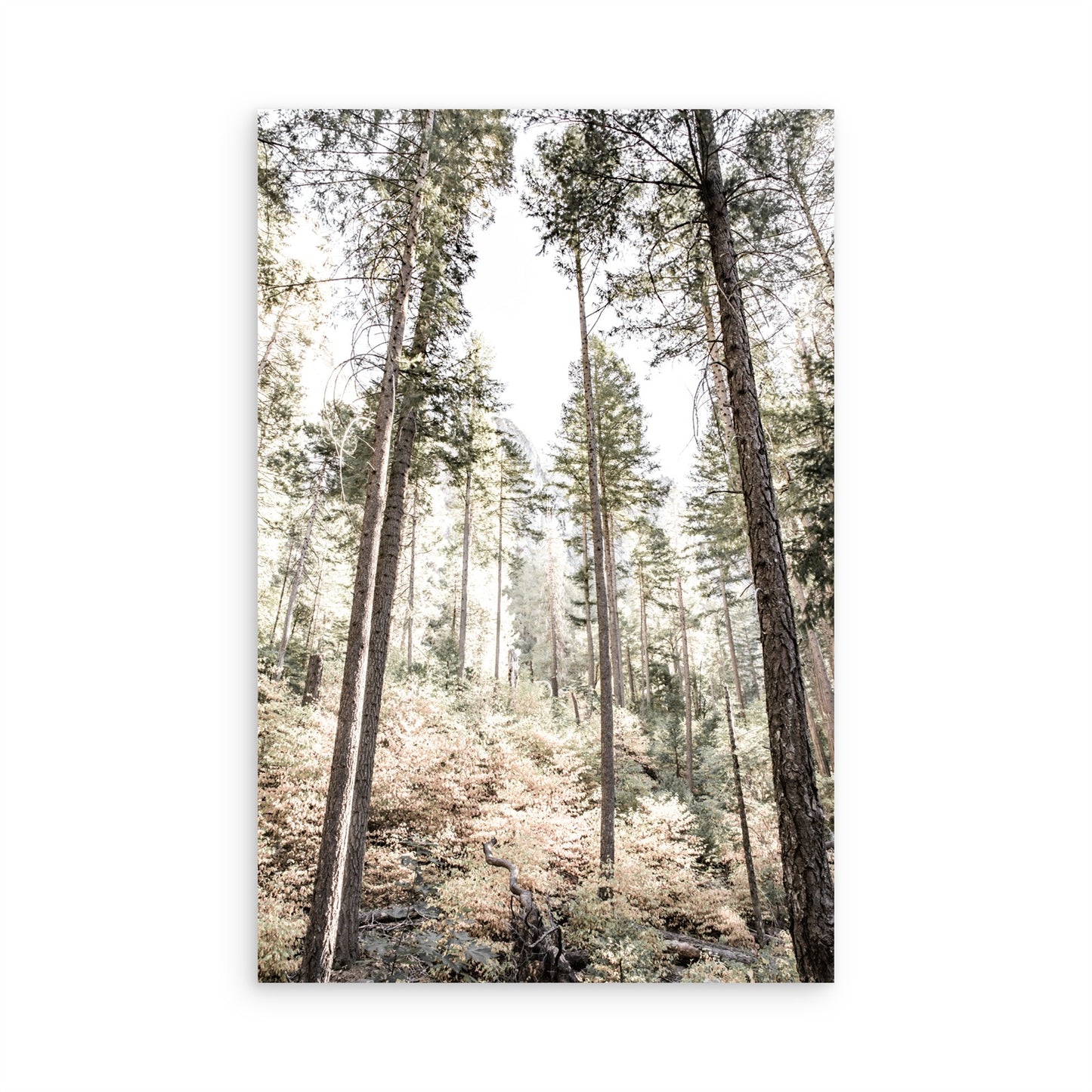 Yosemite 3476