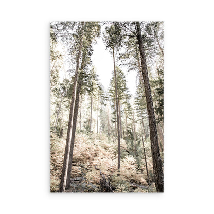 Yosemite 3476