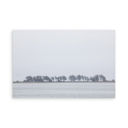 Bodega Bay 7659