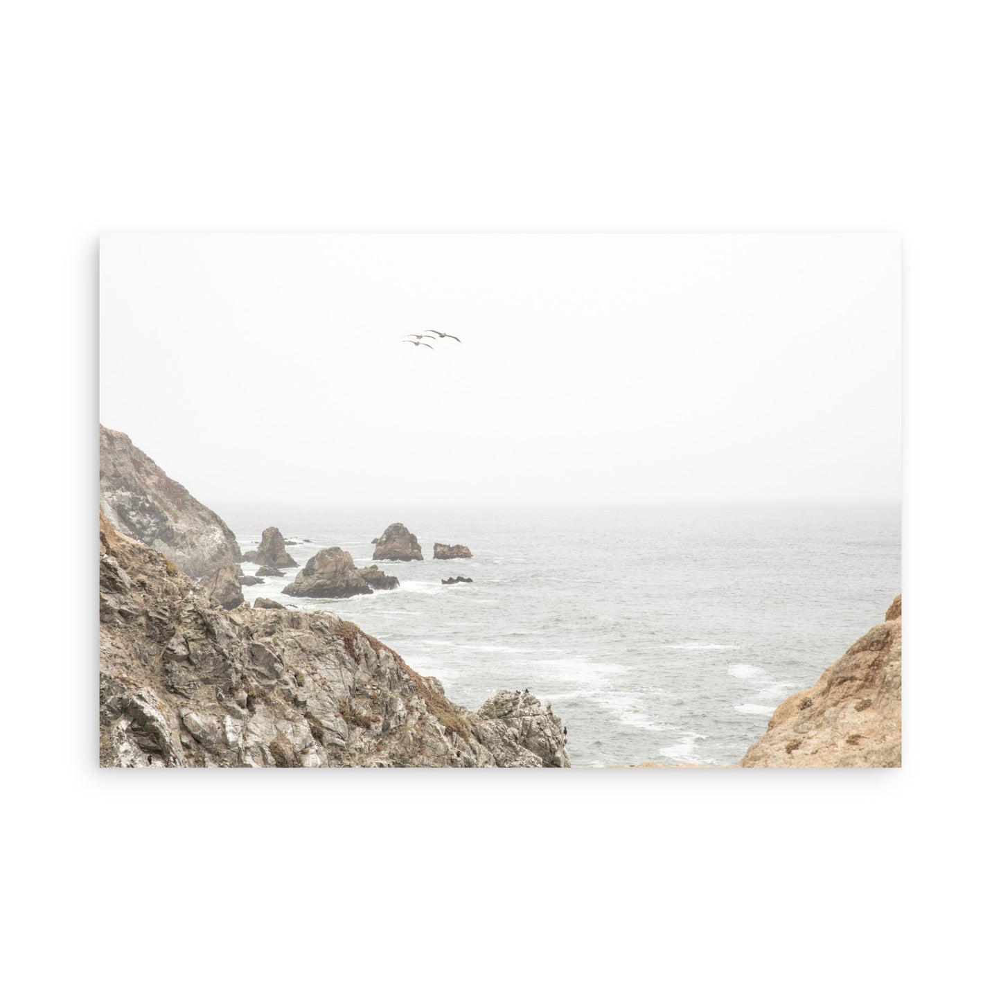 Bodega Head 7714