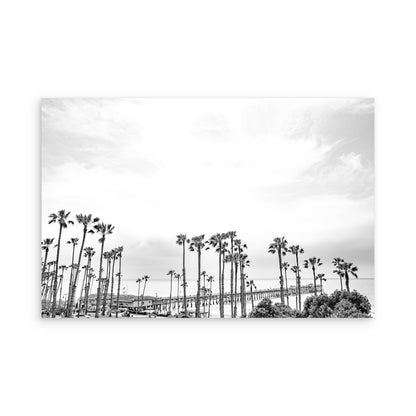 San Clemente 8418
