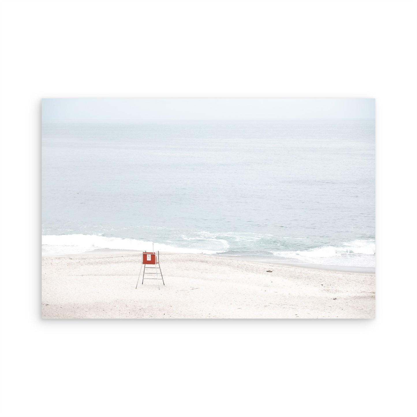Laguna Beach 8077