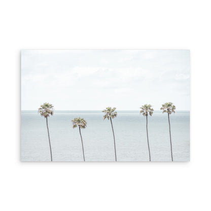 Palms 4922
