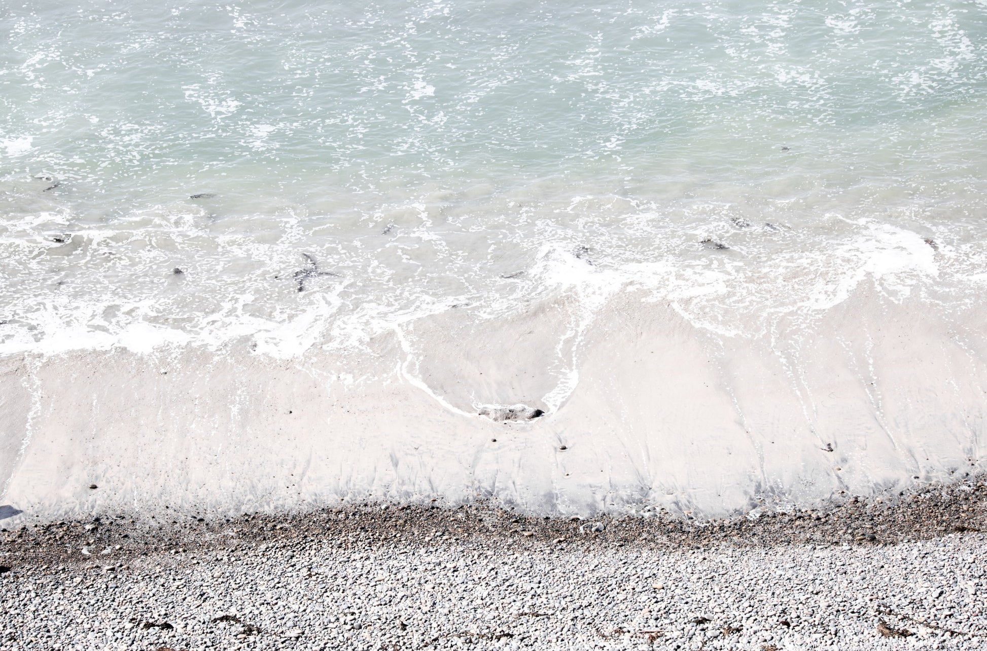 Photography by Kim Dybczak of: A rocky shoreline meets foamy waves along a rugged stretch of coast.
