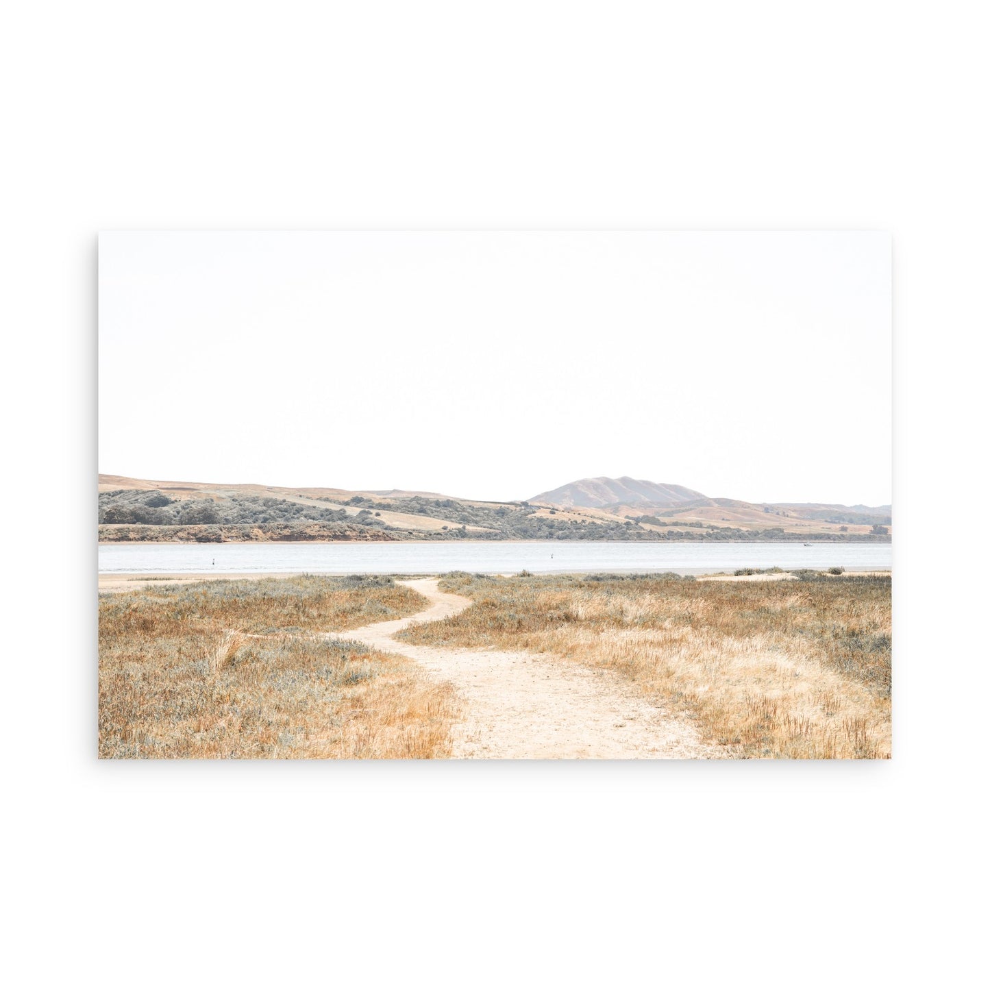Tomales Bay 7149