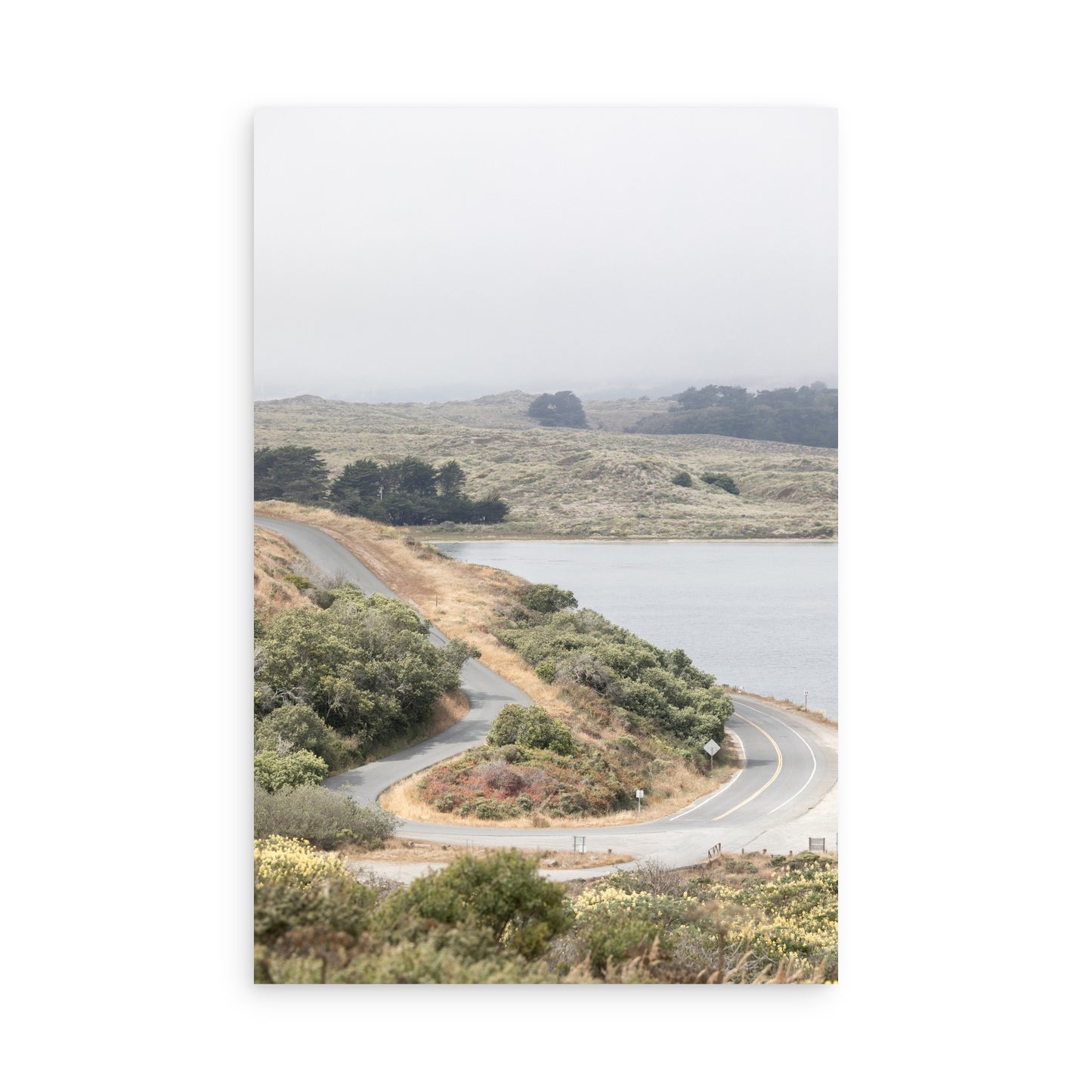 Bodega Bay 7763