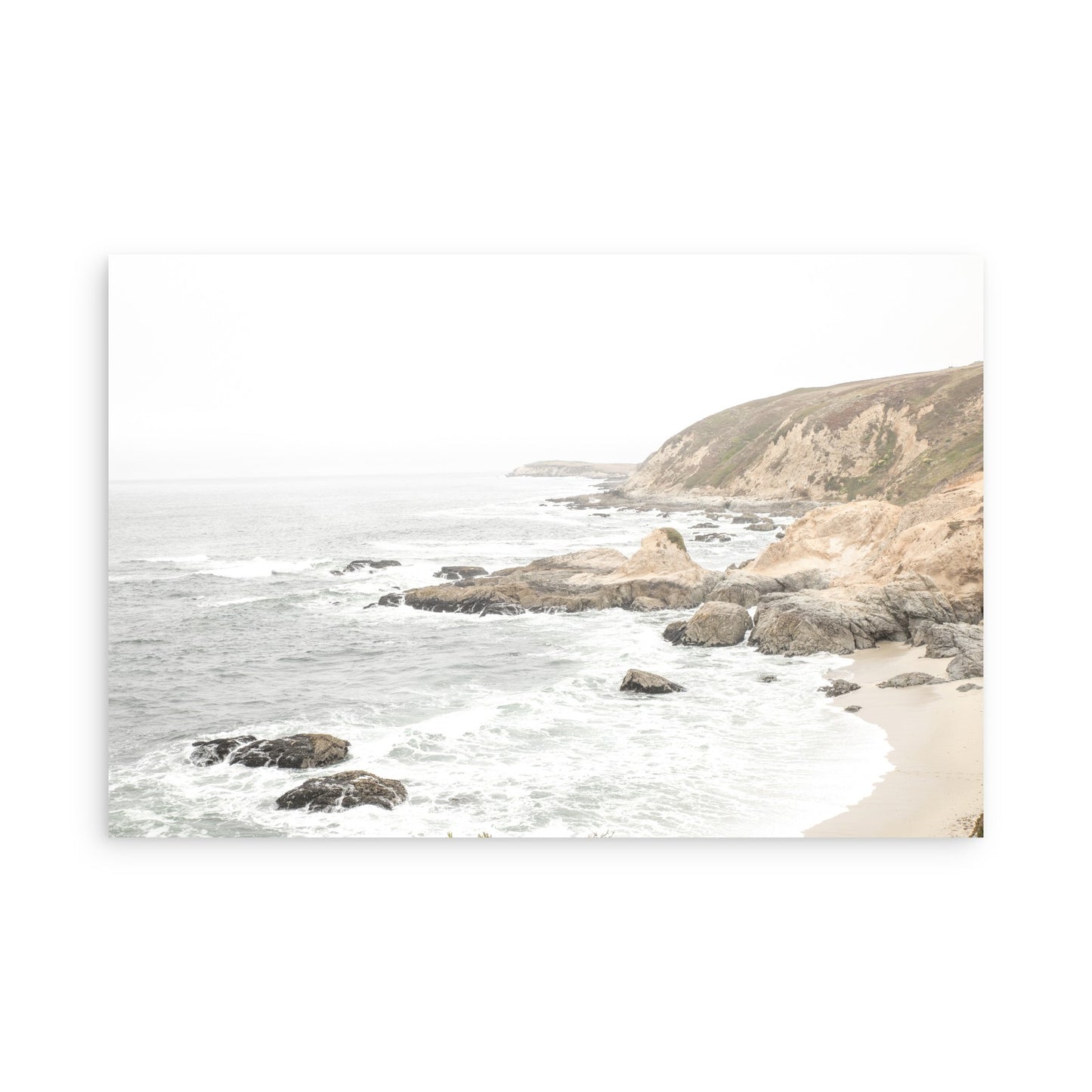 Bodega Head 7711