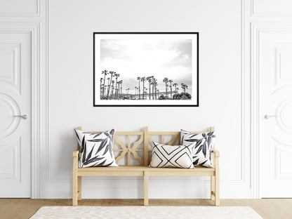 Horizontal black and white coastal photography of many palm trees in the foreground, with the San Clemente Pier extending into the ocean in the background. This large landscape beach art conveys strong beach vibes. Photograph in minimalist mock up.