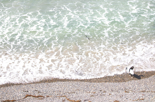 Photography by Kim Dybczak of: Surfer along the shoreline.