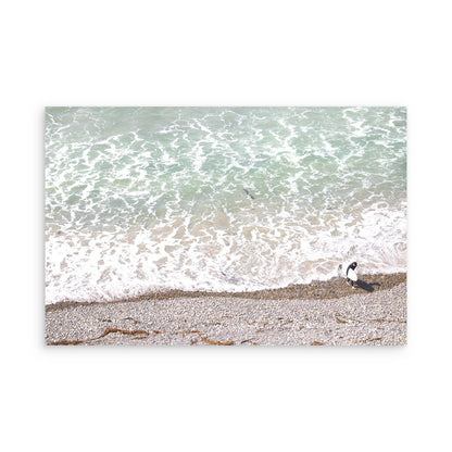 Leucadia 5998
