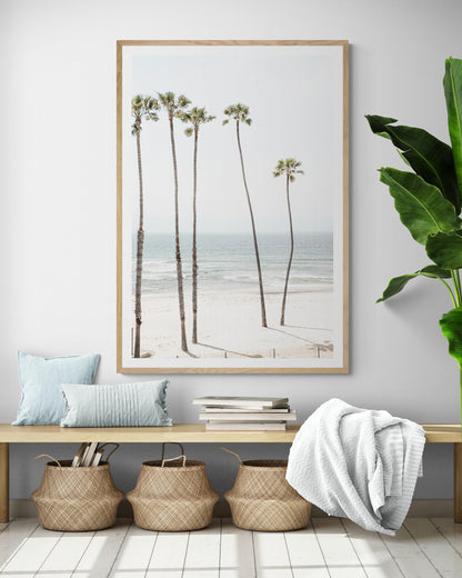 Vertical coastal print showcasing a line of very tall palm trees against the bright sky, overlooking the calm ocean waves. A quintessential tropical coastal print. Photograph in minimalist mock up.