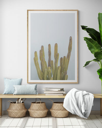 Vertical minimalist art print of a striking green cactus against a plain pale blue sky background, offering a unique element for tropical decor or minimalist art. Photograph in minimalist mock up.