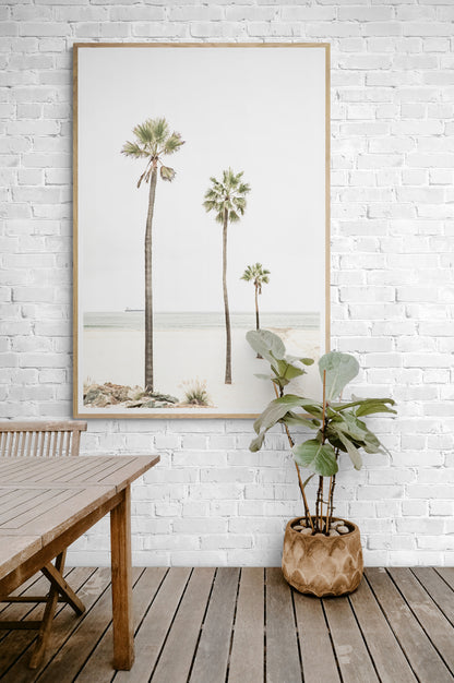 Coronado Island Palm Trees - San Diego California - Summer 2022 modern coastal beach wall art print